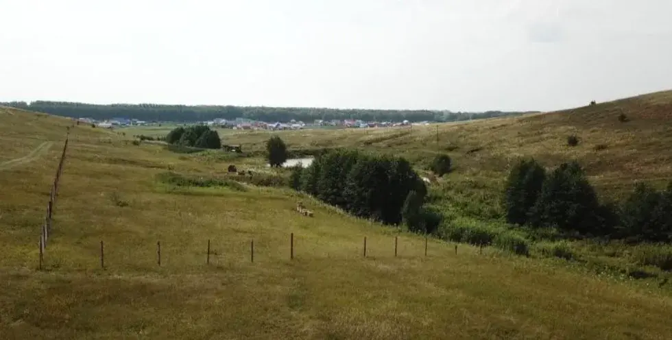 Земля с прудом в с. Еремеево, 2 Га в собственности - Фото 1