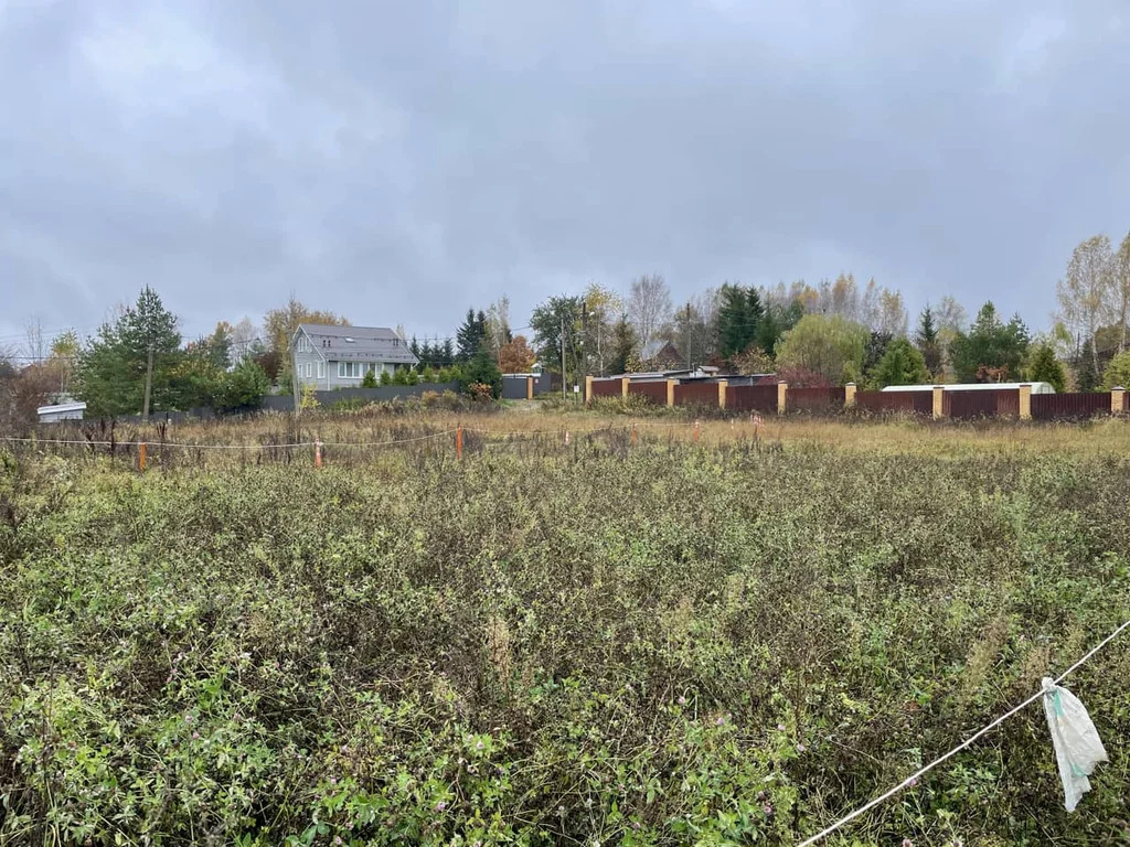 Продажа участка, Новинки, Дмитровский район - Фото 7