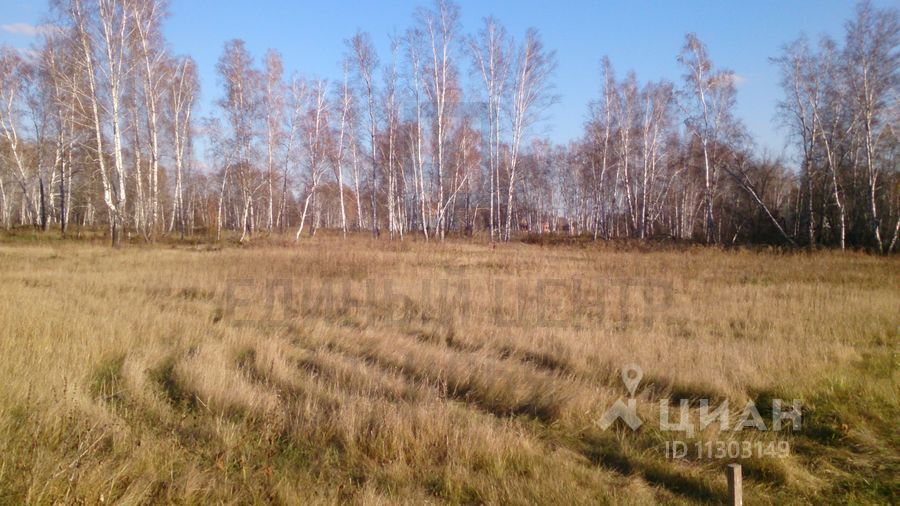 Село толмачево новосибирская область фото