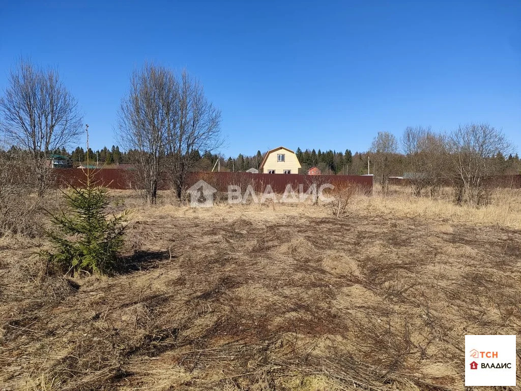 Продажа участка, Новопареево, Щелковский район, 1-я Амеревская улица - Фото 4