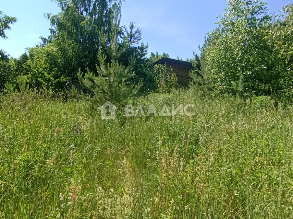 Судогодский район, деревня Кадыево, земля на продажу - Фото 13