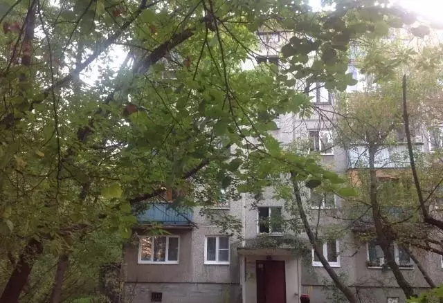 Продается 1-комнатная квартира г. Жуковский, ул. Гагарина, д. 39 - Фото 3