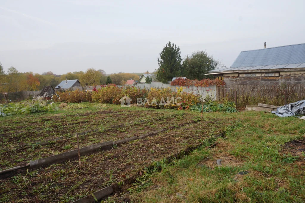 Суздальский район, село Брутово,  земля на продажу - Фото 7