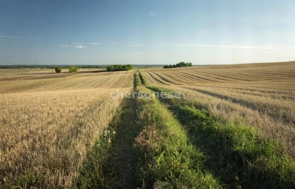 Продажа участка, Орловское, Красноперекопский район, улица Западная - Фото 4