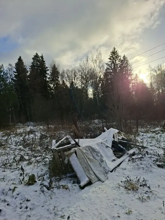 Продается большой участок земли в д. Ельники Рузский р. - Фото 2