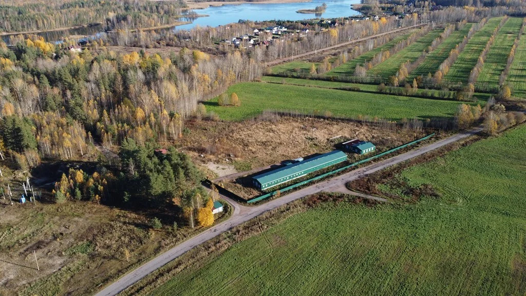 Продажа участка, Барышево, Выборгский район - Фото 4