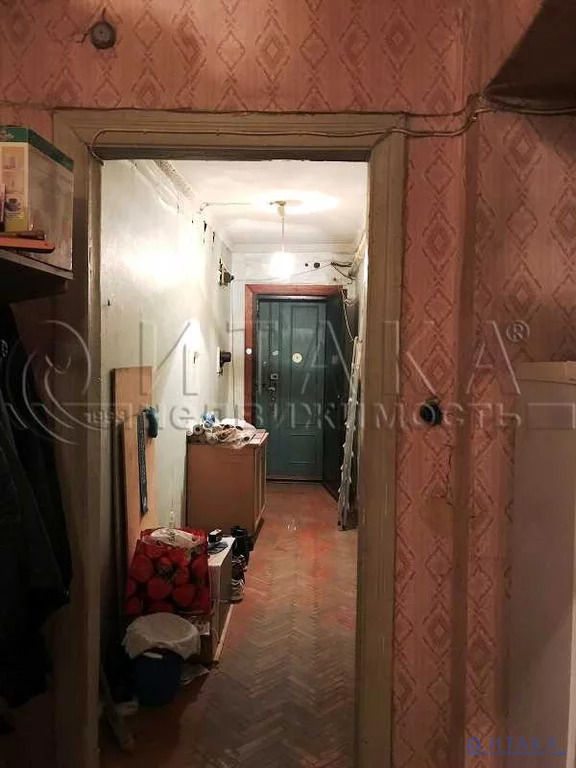 спб недвижимость вторичка светлановский проспект. вся вторичка спб. петергофское ш. квартира красносельский район санкт-петербурга. красносельский район спб квартиры.