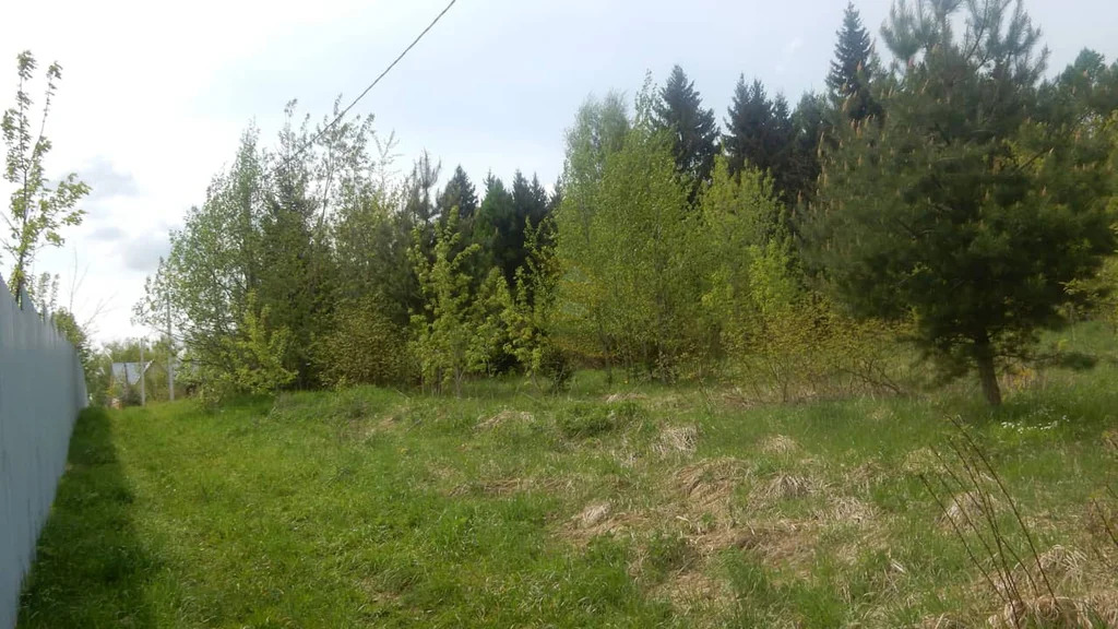 Продажа участка, Батюшково, Дмитровский район - Фото 7