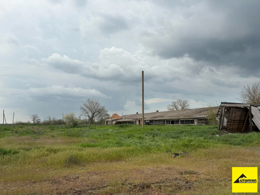 Продажа земельного участка, Симоновка, Ейский район - Фото 6