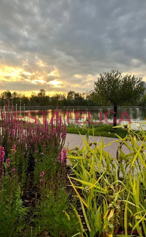 Продажа пентхауса, проспект Лихачева - Фото 21