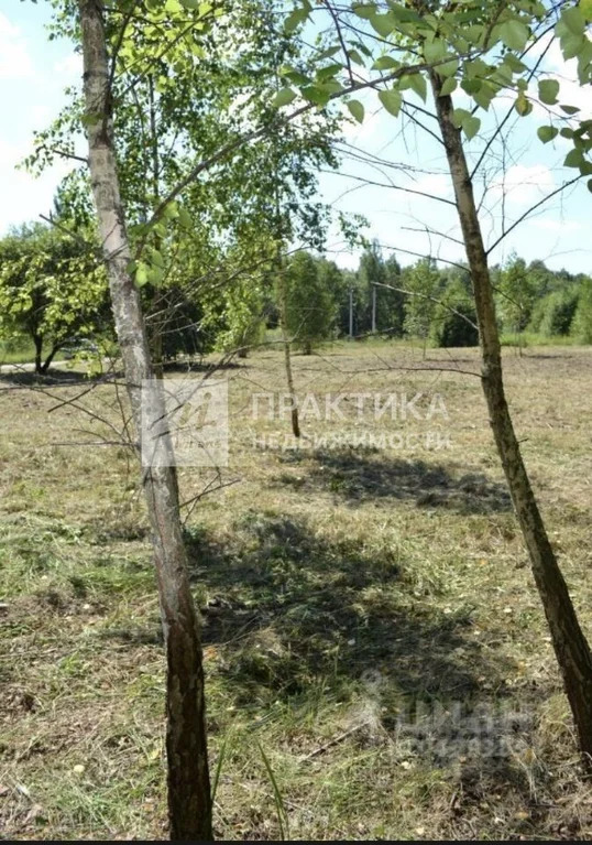 Продажа участка, Ивантиново, Серпуховский район - Фото 8