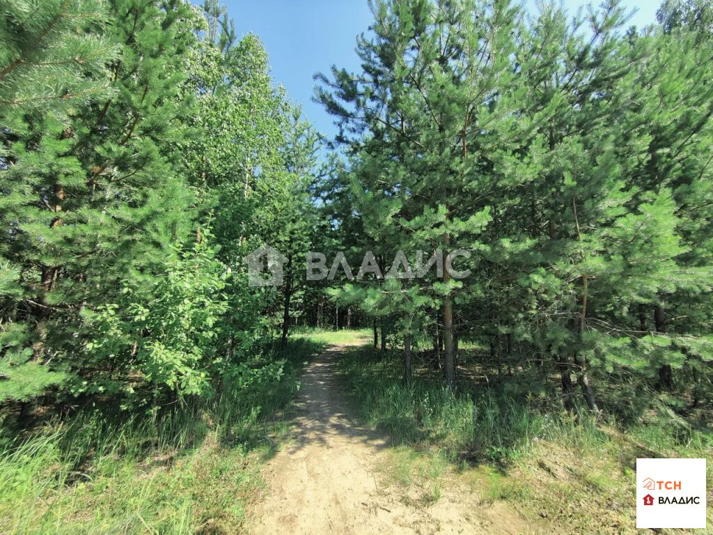 Продажа участка, Балашиха, Балашиха г. о. - Фото 1
