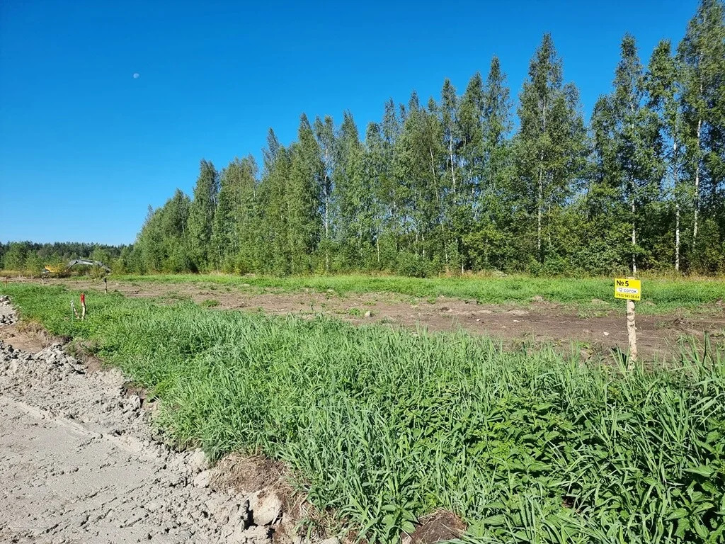 Продажа участка, Большие Пороги, Всеволожский район - Фото 6