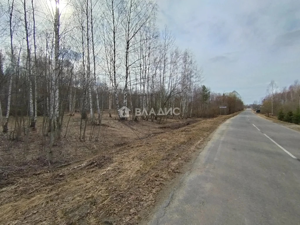 Собинский район, деревня Вишняково,  земля на продажу - Фото 3