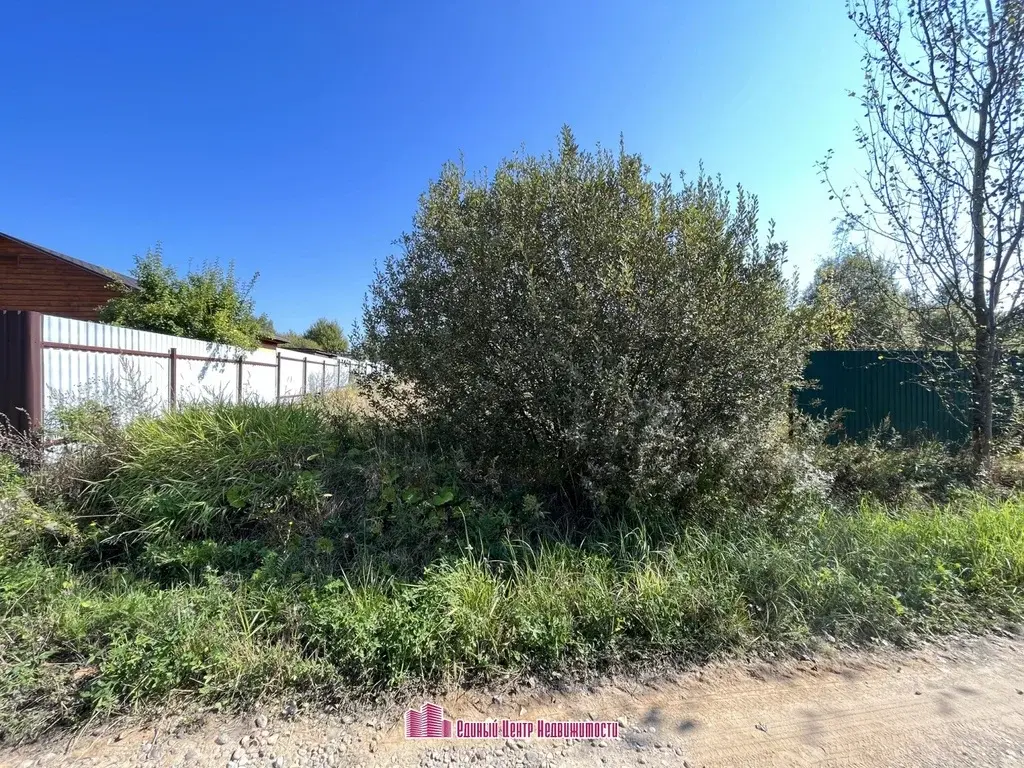 Участок 15 сот, д. Бородино, ДНП Бородино (Дмитровский район) - Фото 4