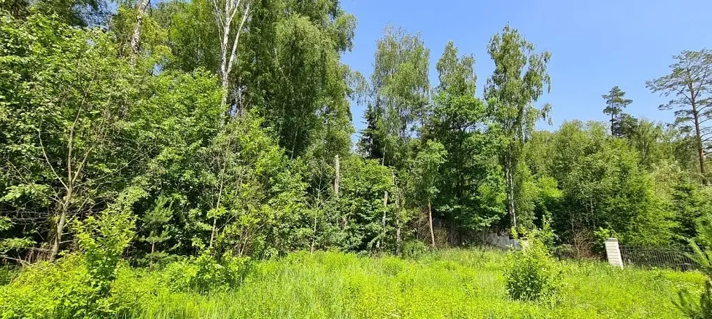 Лесной участок с рельефом около речки на Рублевке в 17 км от МКАД - Фото 1
