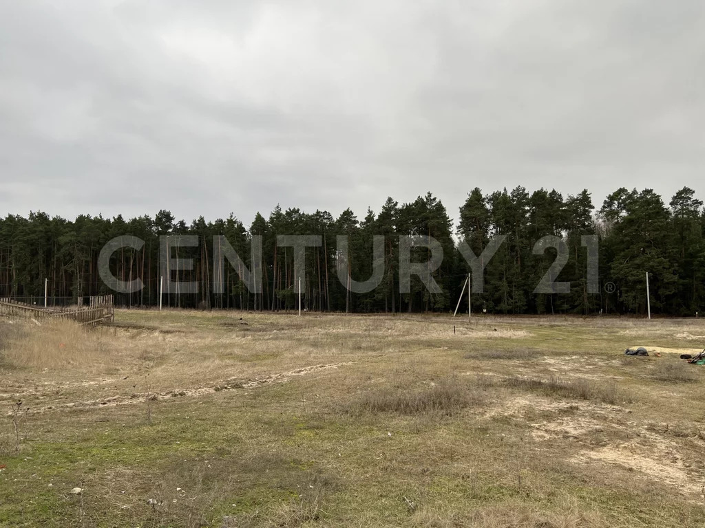 Продажа участка, Кореневщино, Добровский район, Набережная ул. - Фото 2