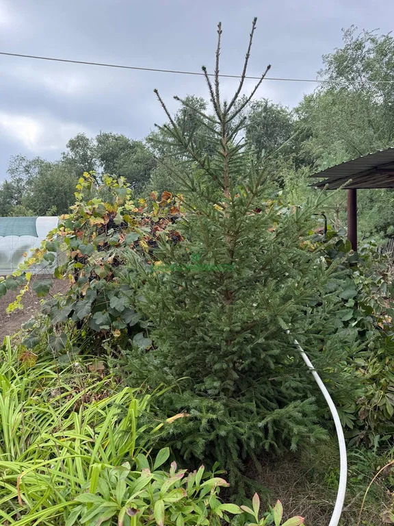 Продажа дома, Быково-Отрогское МО, Балаковский район, 626 - Фото 14