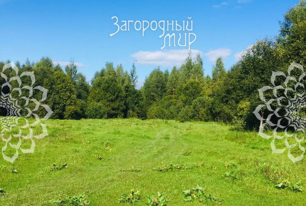 Продам участок, Новорязанское шоссе, 25 км от МКАД - Фото 1