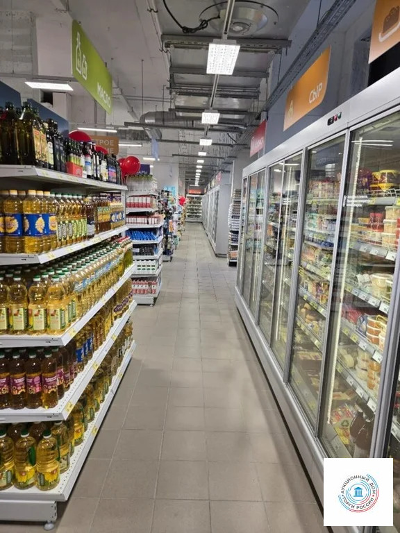 Помещение свободного назначения, 482.9 м - Фото 0