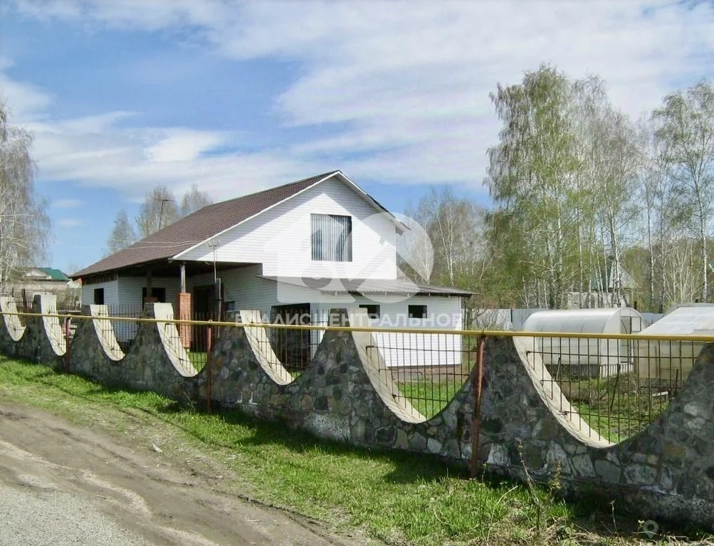 Новосибирский район, село Новолуговое, Степная улица, дом на продажу - Фото 0