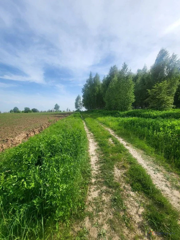 Продажа земельного участка, Харское, Бабынинский район - Фото 0