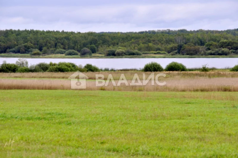 Суздальский район, село Глазово, земля на продажу - Фото 6