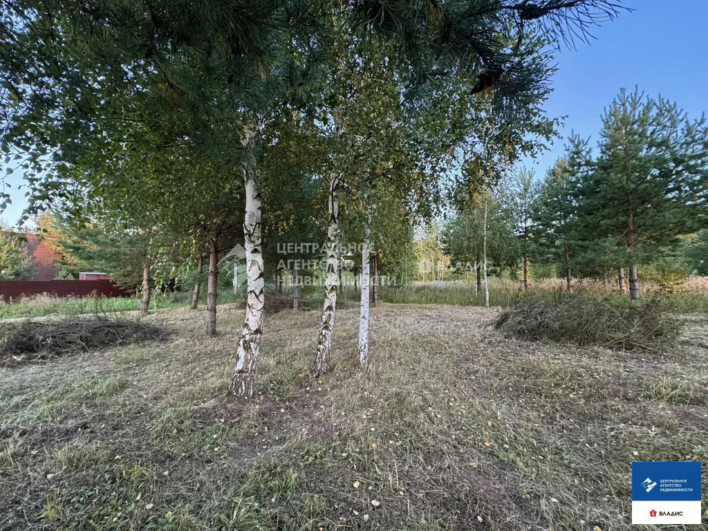 Продажа участка, Рязанский район - Фото 9