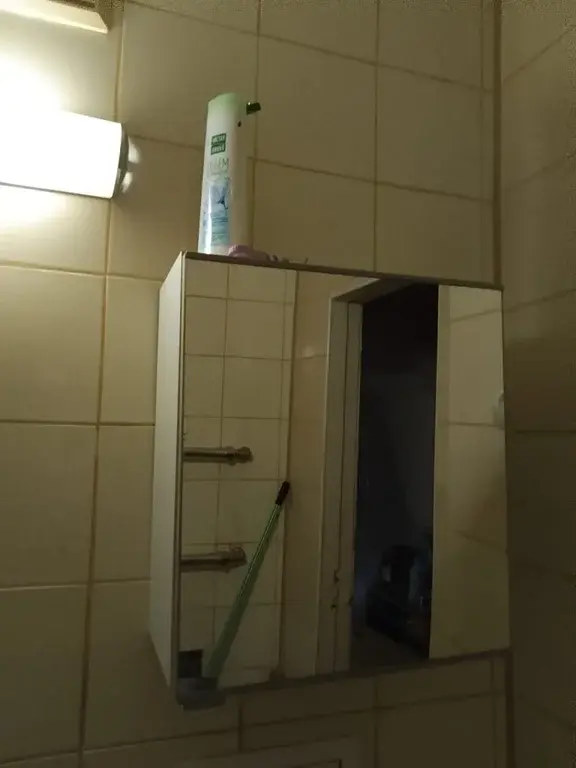 г.о. Пушкинский, п. Лесные Поляны, ул. Ленина, 1 - Фото 11