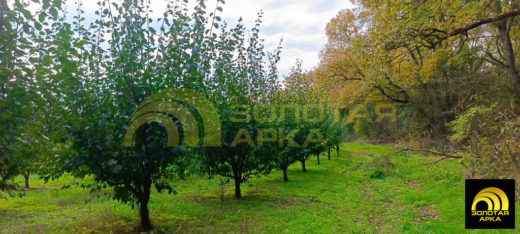 Продажа участка, Павловский, Крымский район, ул. Красная - Фото 7