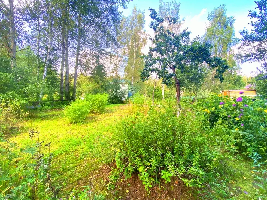Дача в СНТ Заречье - Фото 13