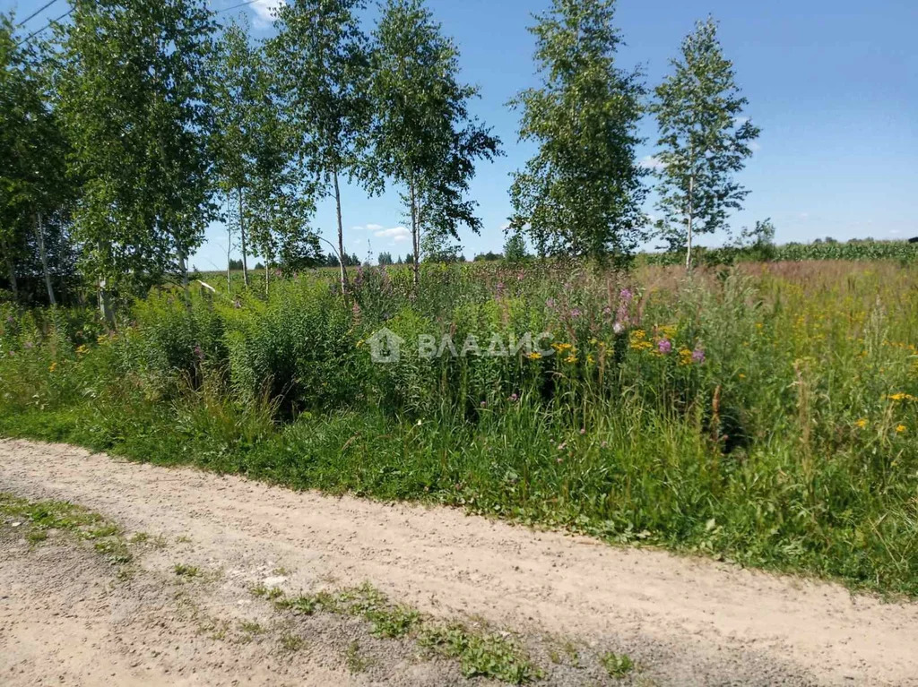 Собинский муниципальный округ, село Бабаево, Родниковая улица,  земля ... - Фото 9