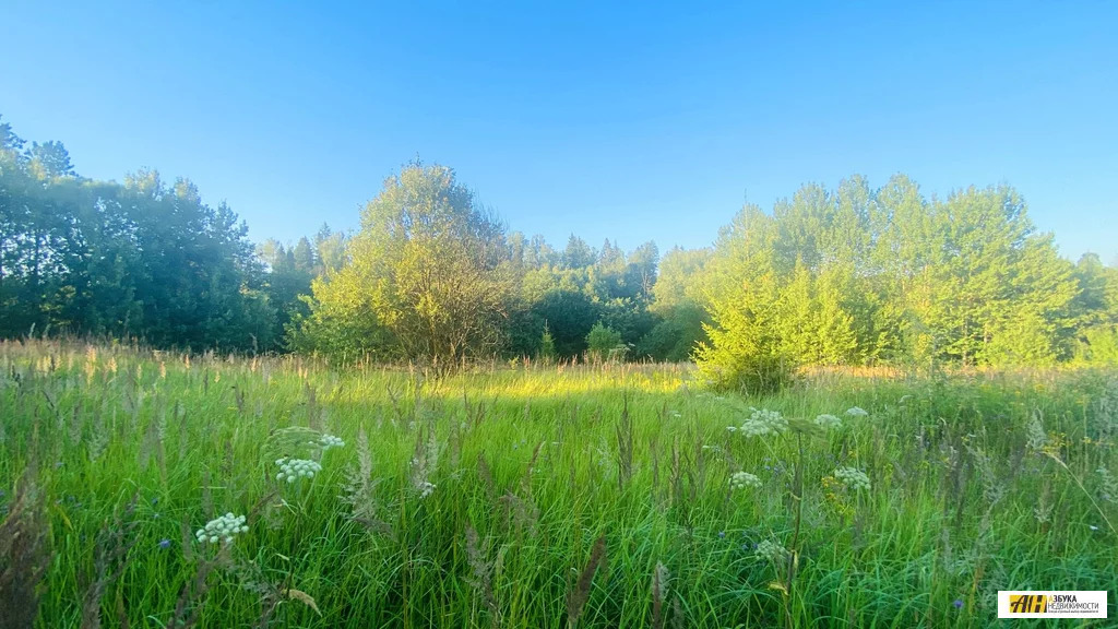 Продажа участка, Сергиево, Одинцовский район - Фото 11