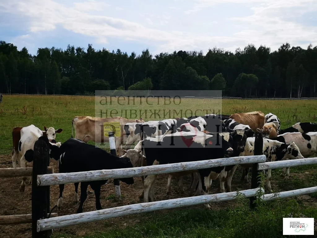 Продажа участка, Коростелево, Боровский район - Фото 14