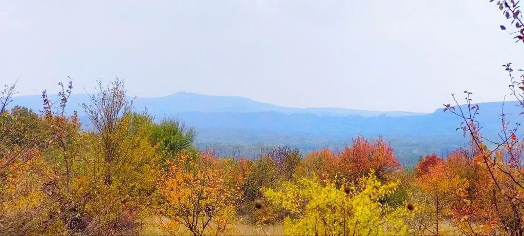 Продажа участка, Новоалексеевский, Северский район - Фото 0