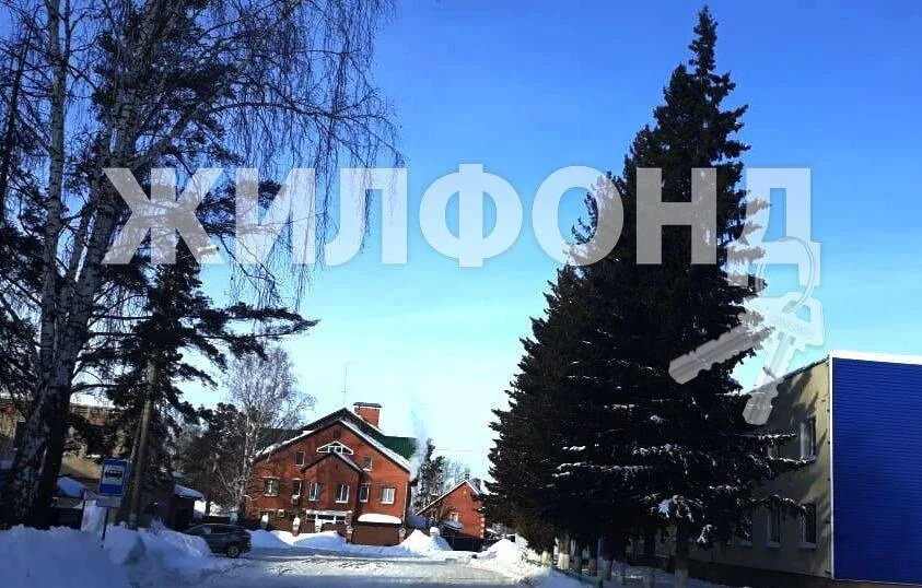 Продажа комнаты, Новосибирск, ул. Боровая Партия - Фото 10