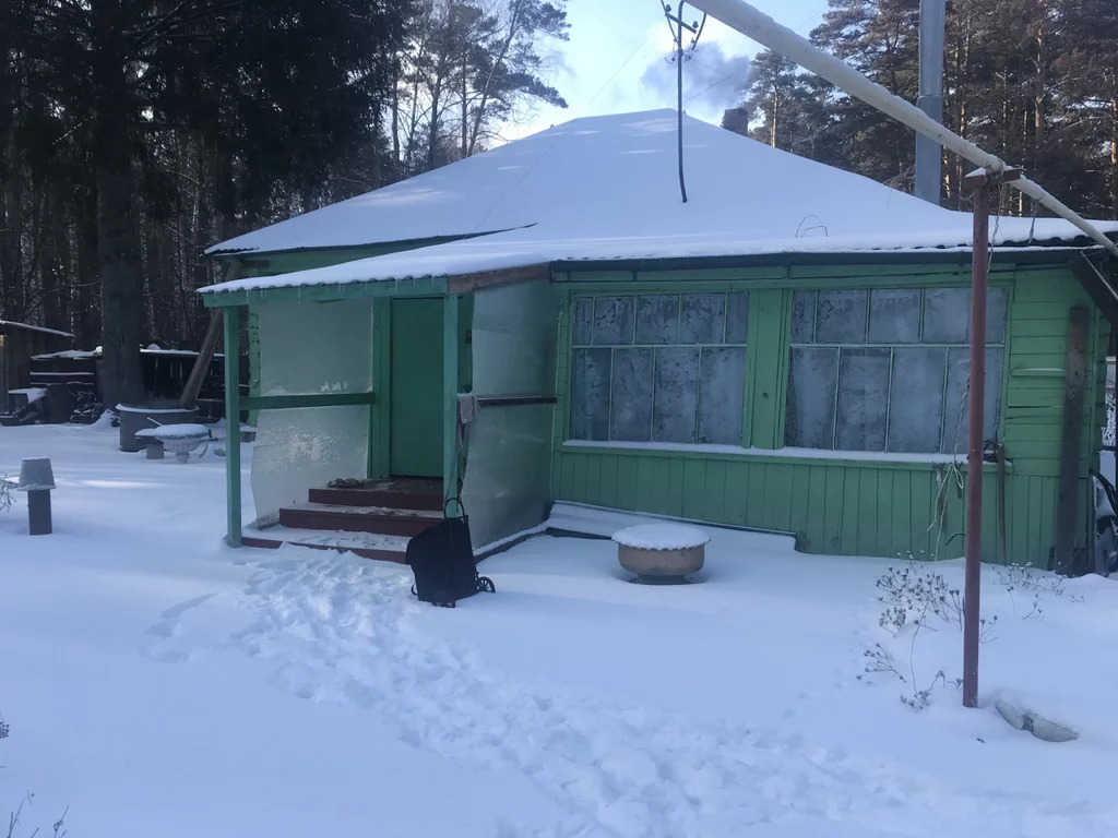 Чкаловские дачи. Экопарк Чкаловские дачи Новосибирск. Чкаловские дачи Новосибирск база отдыха. Вторые Чкаловские дачи Новосибирск. Чкаловские дачи Новосибирск кафе.