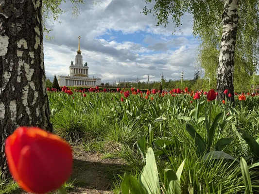 Продам однокомнатную (1-комн.) квартиру, Серебрякова проезд, 11к2, ... - Фото 28