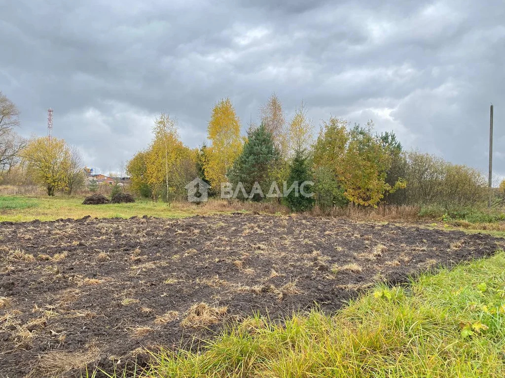 Суздальский район, село Новоалександрово,  земля на продажу - Фото 3