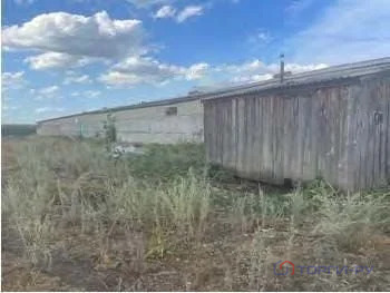 Продажа производственного помещения, Бикмурзино, Неверкинский район, ... - Фото 5