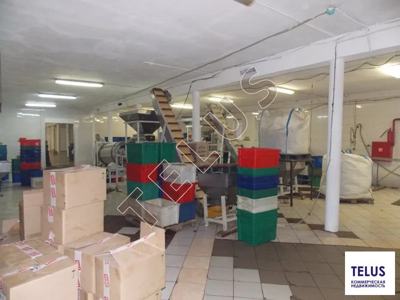 МО, Электросталь г.о., Новые Дома пос., 4000 м2, Пищевое производство ... - Фото 9