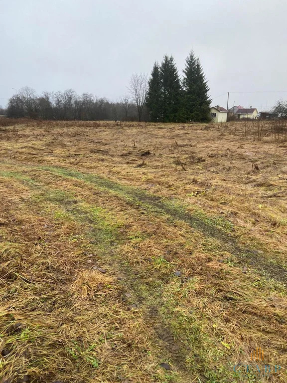 Продажа участка, Большие Озертицы, Волосовский район, деревня Большие ... - Фото 6