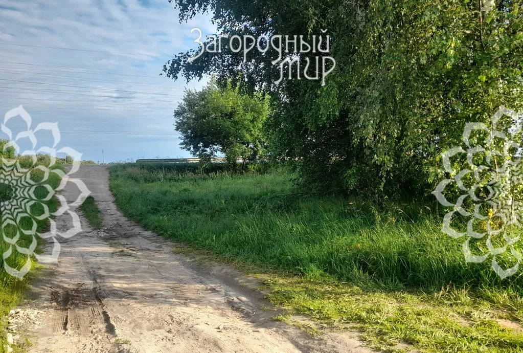 Продам участок, Дмитровское шоссе, 80 км от МКАД - Фото 7