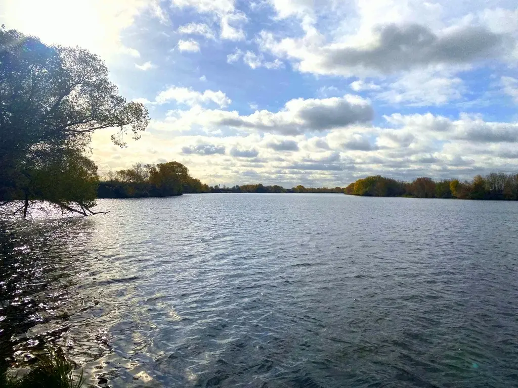 Дача в СНТ Москворечье - Фото 18