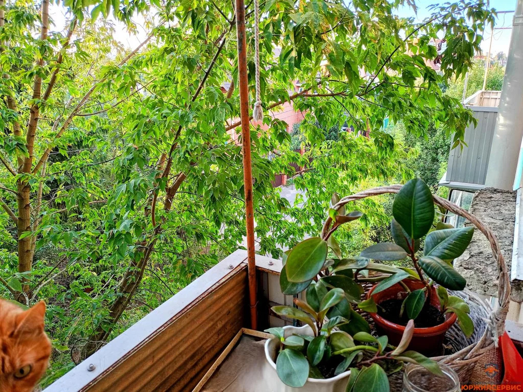 Продажа квартиры, Домодедово, Домодедово г. о., улица Новомосковская - Фото 2