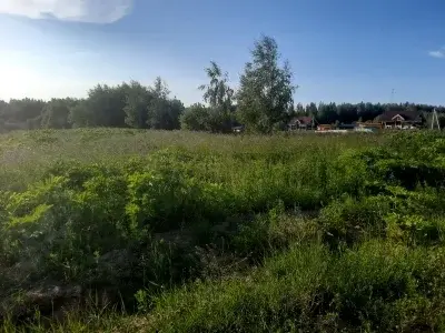 Продаетс большой участок земли в д.Нововолково Рузский р. Московская - Фото 3
