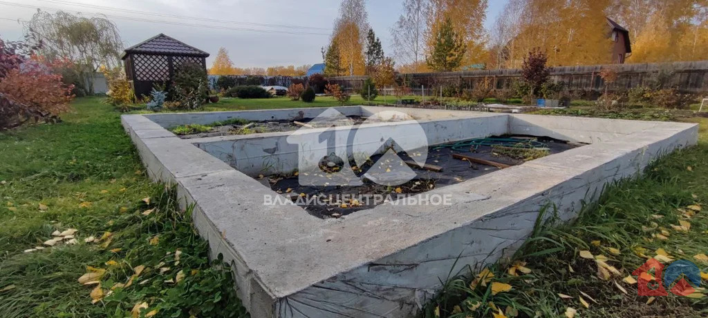 Новосибирский район, садовое товарищество Шафран,  земля на продажу - Фото 12