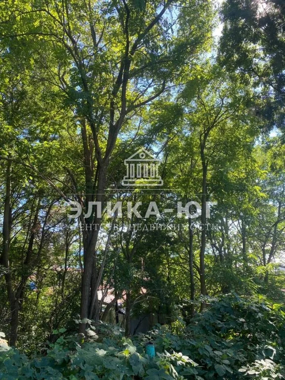 Продажа участка, Джубга, Туапсинский район, ул. Борохова - Фото 6