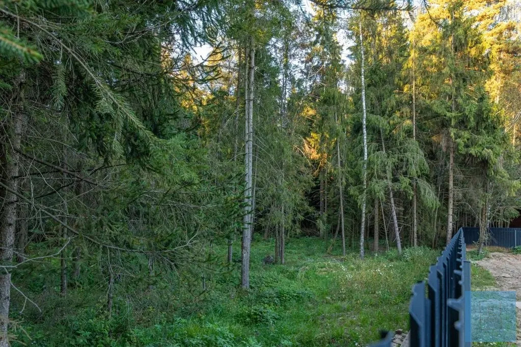 крайний к лесу дом в КП Дивный лес - Фото 14