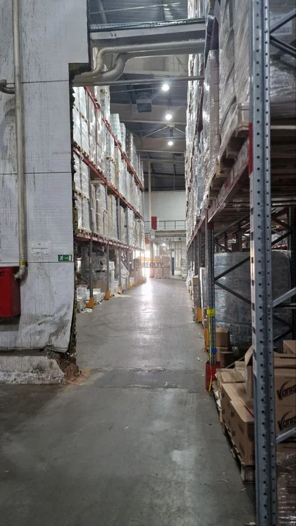 Аренда склада, Ильинское, Волоколамский район - Фото 1